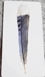 Divine Feather Messenger